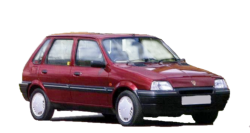 Rover Serie 100 1991 - 1995
