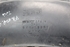 Obrázok z Vložka oblúka predného ľavého kolesa Seat Inca od 1996 do 2003 | 6K080996