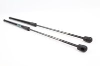 Picture of Tailgate Lifters (Pair) Volvo V40 from 2012 to 2016 | VOLVO 31278560