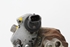 Imagen de Bomba de alta presión de inyeccion Nissan Primastar de 2003 a 2006 | Bosch 0445010075
8200108225