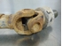 Picture of Drive Shaft Front Suzuki Vitara Canvas Top from 1996 to 1999