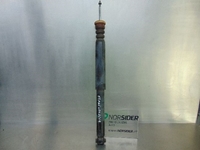 Picture of Rear Shock Absorber Left Mazda Mazda 5 from 2008 to 2010