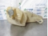 Picture of Windscreen Washer Fluid Tank Audi 80 from 1986 to 1991