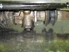 Picture of Steering Rack Opel Kadett from 1984 to 1991