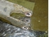 Picture of Front Axel Top Transversal Control Arm Front Left Renault Master de 1987 a 1997