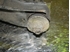 Picture of Front Axel Bottom Transversal Control Arm Front Right Nissan Vanette de 1988 a 1995
