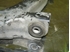 Picture of Front Axel Bottom Transversal Control Arm Front Right Daewoo Lanos from 1997 to 2000