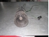 Picture of Heater Blower Motor Rover Serie 100 from 1991 to 1995