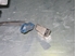 Picture of Tailgate Glass Wiper Motor Citroen Bx from 1984 to 1986