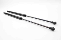 Picture of Tailgate Lifters (Pair) Renault Laguna III from 2007 to 2010 | Concorrência 
Meyle