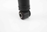 Picture of Rear Shock Absorber Right Renault Kangoo II Fase II from 2013 to 2021 | KYB
8200868514