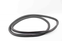 Picture of Rear Left Door Rubber Seal Chevrolet Cruze Sedan from 2009 to 2013