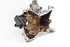Picture of Oil Pump Peugeot 107 from 2009 to 2012 | AISIN P13