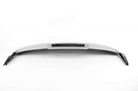 Picture of Rear Spoiler Renault Clio IV Fase I from 2012 to 2016 | 960301228R