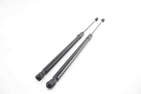 Picture of Tailgate Lifters (Pair) Audi A3 Sportback from 2008 to 2013 | 8P4827552B